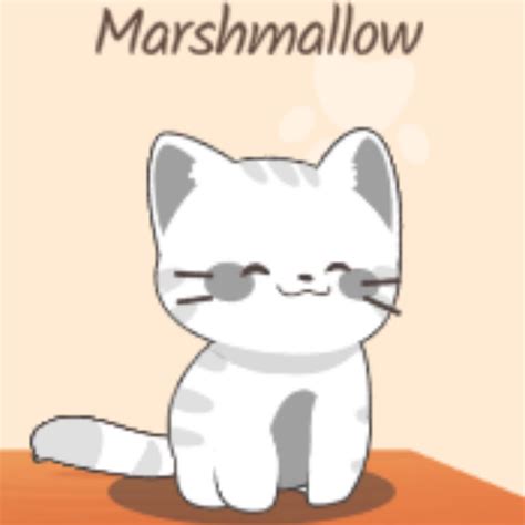 Marshmallow Cat Duet Cats Wiki Fandom