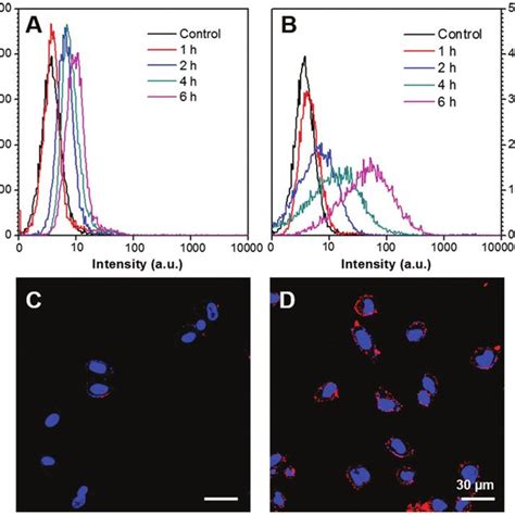 Flow Cytometry Histograms Of Mda Mb Cells After Incubation With A