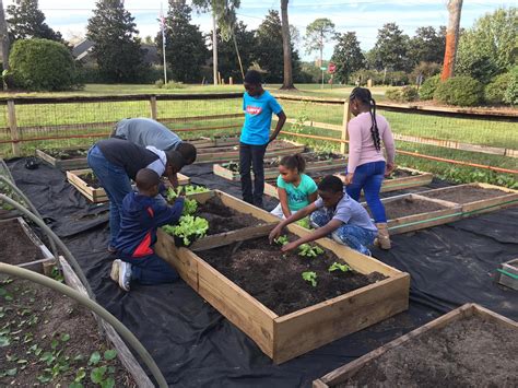 Community Garden & Hoop House Grants | SCACED
