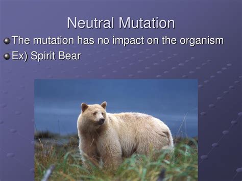 PPT - Mutations PowerPoint Presentation, free download - ID:3990738