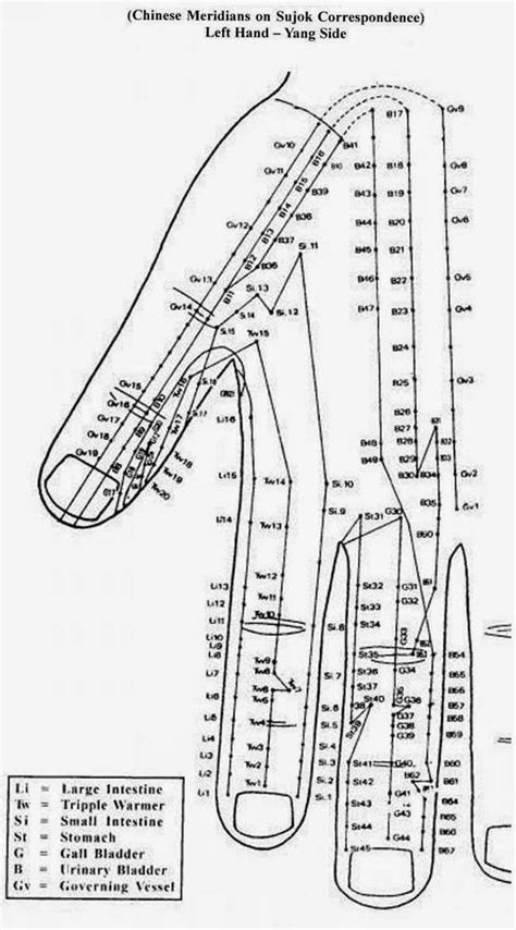 Disease To Ease Su Jok Acupressure Acupuncture Acupressure Treatment