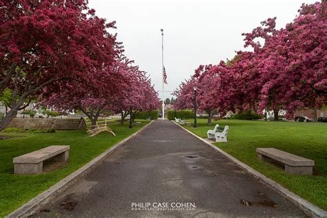 Prescott Park – THE DAILY PORTSMOUTH