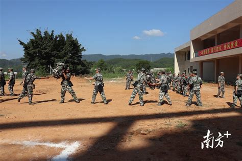 梅州军分区检查验收蕉岭县民兵整组工作训练基地政治陈萍