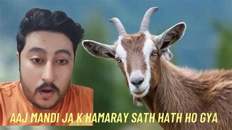 Mandi Se Qurbani Ka Bakra Le Liya 🤔vaha Ja Kar Kya Hua 😩🥺 Vlog 7