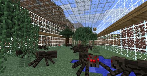 The Friendly Spider Farm Minecraft Map