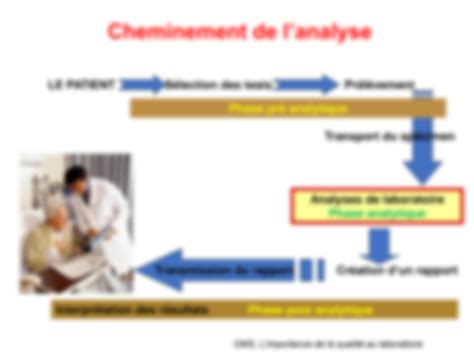 Solution Cycle De Vie Analyse Biologique Studypool