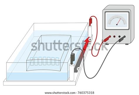 Gel Electrophoresis Technique Separating Molecules Such Stock Illustration 760375318