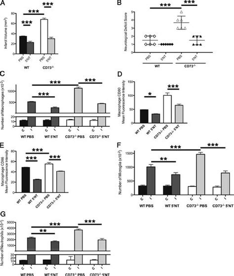 Tissue Resident Ecto 5′ Nucleotidase Cd73 Regulates Leukocyte