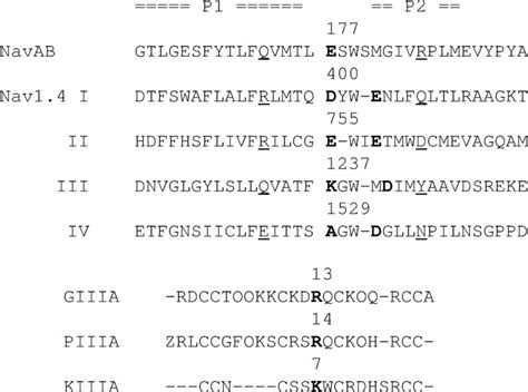 Sequence Alignment Of P Loops In NavAb And Nav1 4 And Sequences Of