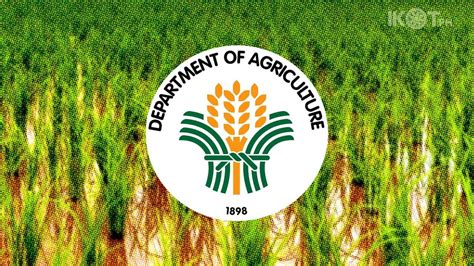 Da Assures Sufficient Rice Supply For Ph Ikot Ph