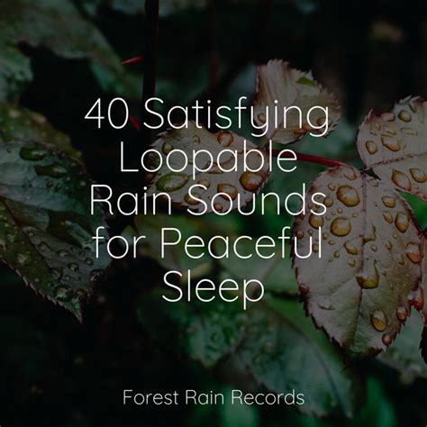 Satisfying Loopable Rain Sounds For Peaceful Sleep Album By