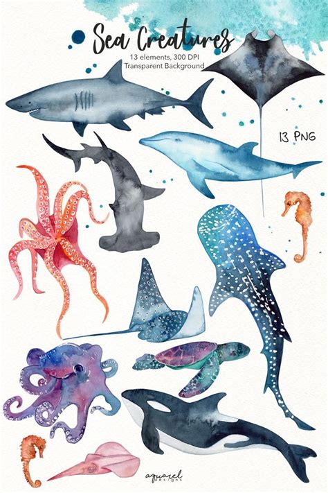 Watercolor Sea Creatures Clipart Whale Shark Killer Whale Etsy Artofit