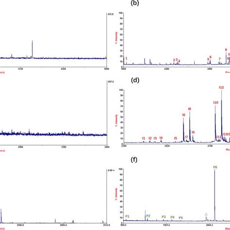 Maldi Tof Mass Spectra For The Phosphopeptide Enrichment From Human