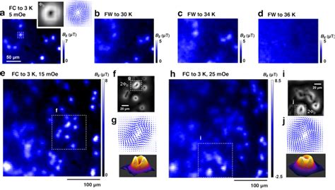 Scanning SQUID Microscope SSM Images Of Vortices A D SSM Images