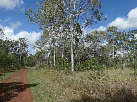 344 Oyster Creek Road Oyster Creek Queensland For Sale Remax Australia