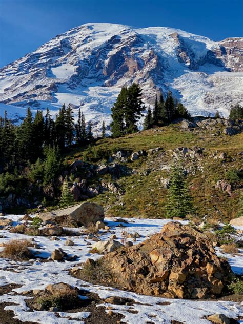 How to make a remarkable Seattle to Mt Rainier day trip -- all the best ...