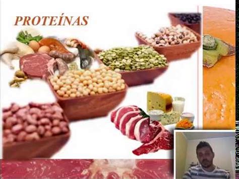 Alimentação - carboidratos, lipídios e proteínas (resumo) - YouTube