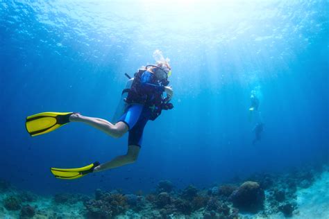 Ultimate Guide to Scuba and Snorkeling in Destin, FL