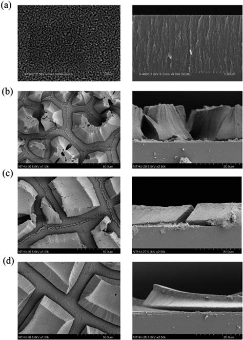 The Surface Left And Cross Sectional Right Sem Images Of Ps Etched