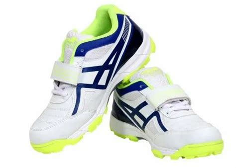 STALLION White Cricket Shoes, Size: 5-11 at Rs 690/pair in Jalandhar | ID: 23678524655