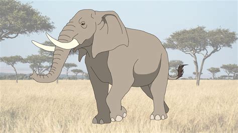 African Elephant By Shipputomas On Deviantart