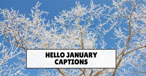 150 Hello January Captions Quotes StatusBuzz