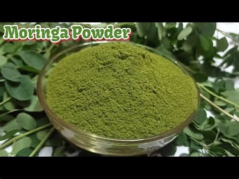 How To Make Moringa Powder Morning Leaves Powder Benefits Of