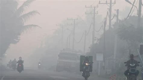 Kabut Asap Semakin Parah Di Jambi Pembelajaran Dialihkan Secara Daring