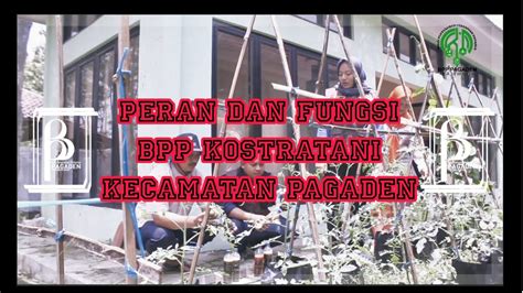 Peran Bpp Kecamatan Pagaden Dalam Fungsi Kostratani Youtube