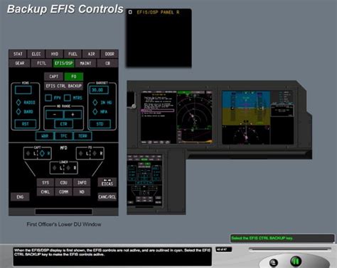 B787 Displays Pfd And Eicas