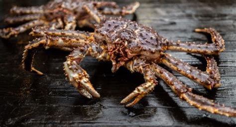 Bering Sea crab harvesters say decision to nix proposed protections is ...