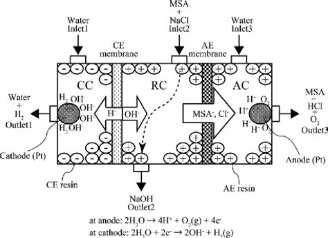 Figure 4 From Development Of A New Suppressor For The Ion Chromatography Of Inorganic Cations