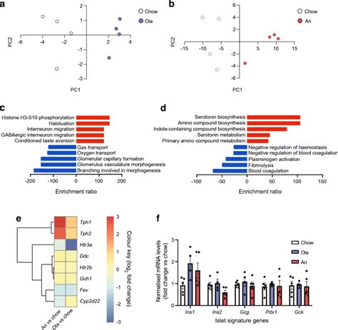 Transcriptomic Analysis In Pancreatic Islets From Female Mice Fed An