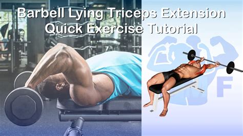 Barbell Lying Triceps Extension: Quick Exercise Tutorial