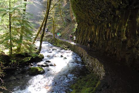 Black Watch Sasquatch Multnomah Wahkeena Falls Loop Columbia River Gorge