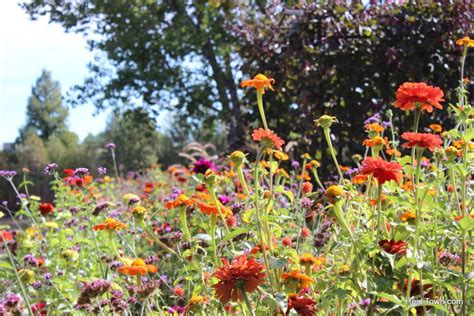 A fall visit to the Denver Botanic Gardens - HeidiTown