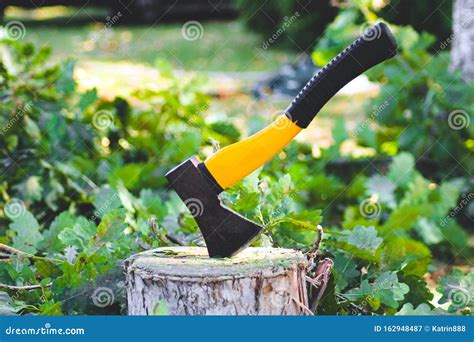 Axe In A Tree Stump Stock Image Image Of Hatchet Equipment 162948487