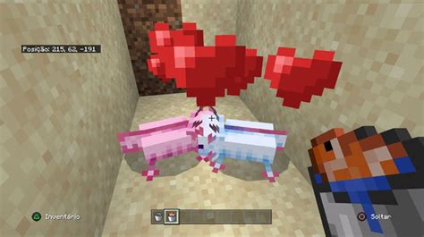 Axolote No Minecraft Veja Como Encontrar Domar E Reproduzir