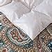 Amazon FADFAY Paisley Duvet Cover Set 100 Cotton Ultra Soft Blue