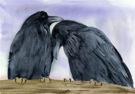 Watercolor Illustration Of Two Black Ravens Or Crows Stock Illustration