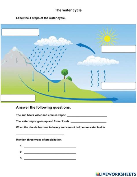 FREE! - Label the Water Cycle Worksheet (teacher made) - Worksheets Library