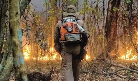 Bosques Tropicales cada día es más urgente su conservación