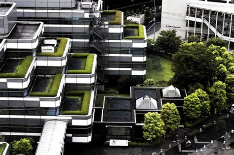 An Aerial View Of Some Buildings With Grass On The Roof And In Between