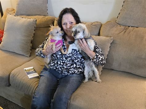 Accessing Your La Food Stamp Benefits: A Step-by-Step Login Guide for Recipients 10