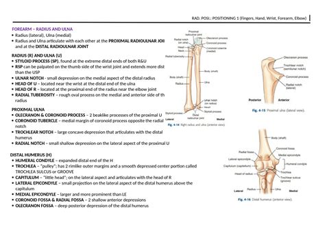 Solution Radiographic Positioning Fingers Hand Wrist Forearm Elbow