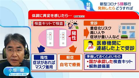 新型コロナ「5類」に移行 発熱したらどうすれば？ー「抗原キットで陰性でもすぐには外出しない」専門家に聞く【ひるおび】 Tbs News Dig