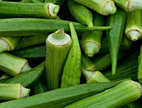 lady fingers vegetable lady fingers  okra plant fruit green
