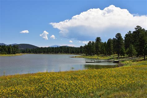 Kaibab National Forest Service Maps