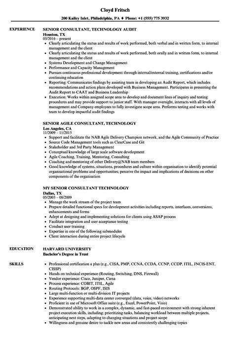 Consultant Technology Resume Samples Velvet Jobs