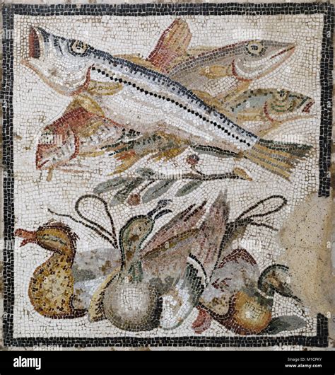 N Poles Italia Mosaico Romano De Peces Y Patos Desde Pompeya Siglo